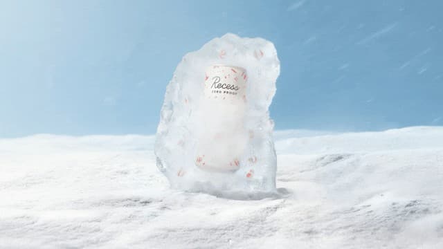 RECESS — PEPPERMINT BARK 'TINI