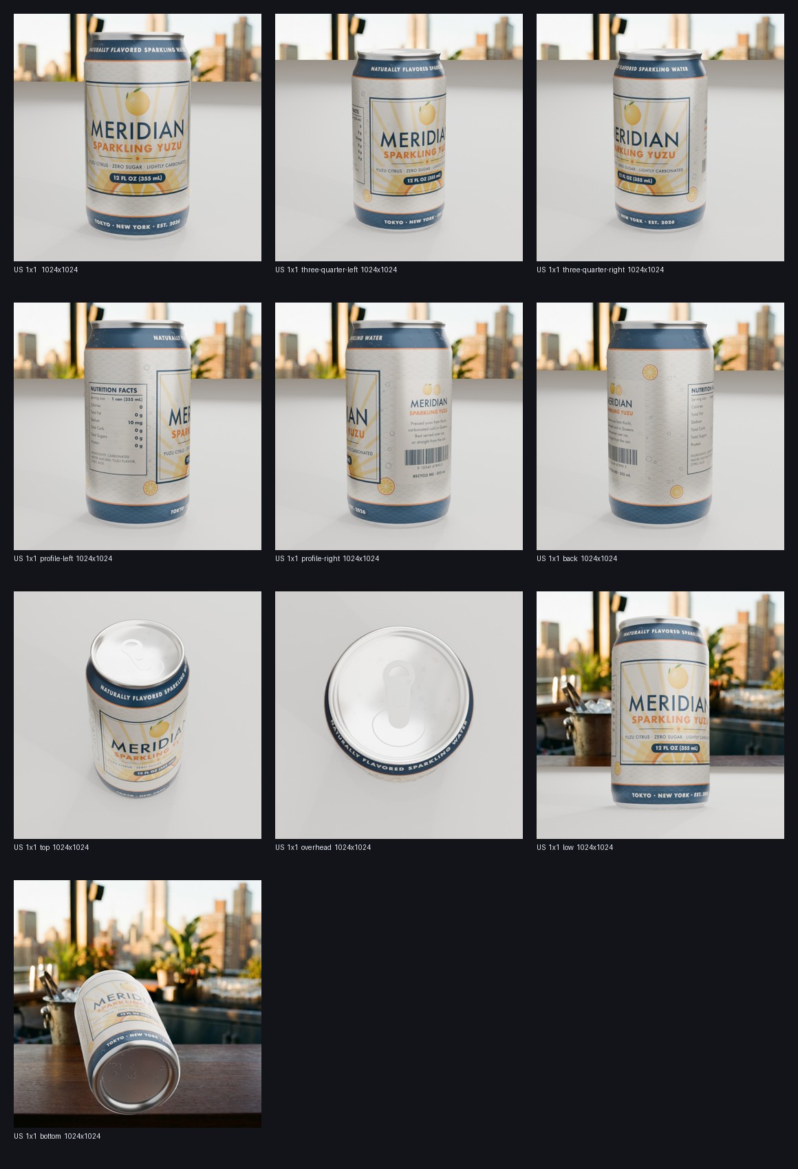 Contact sheet of the Meridian can from ten camera angles: front, three-quarter, profile, back, top, overhead, low and bottom